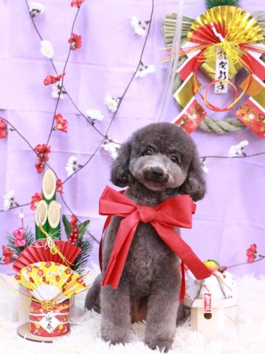 20230111Chipieちゃん